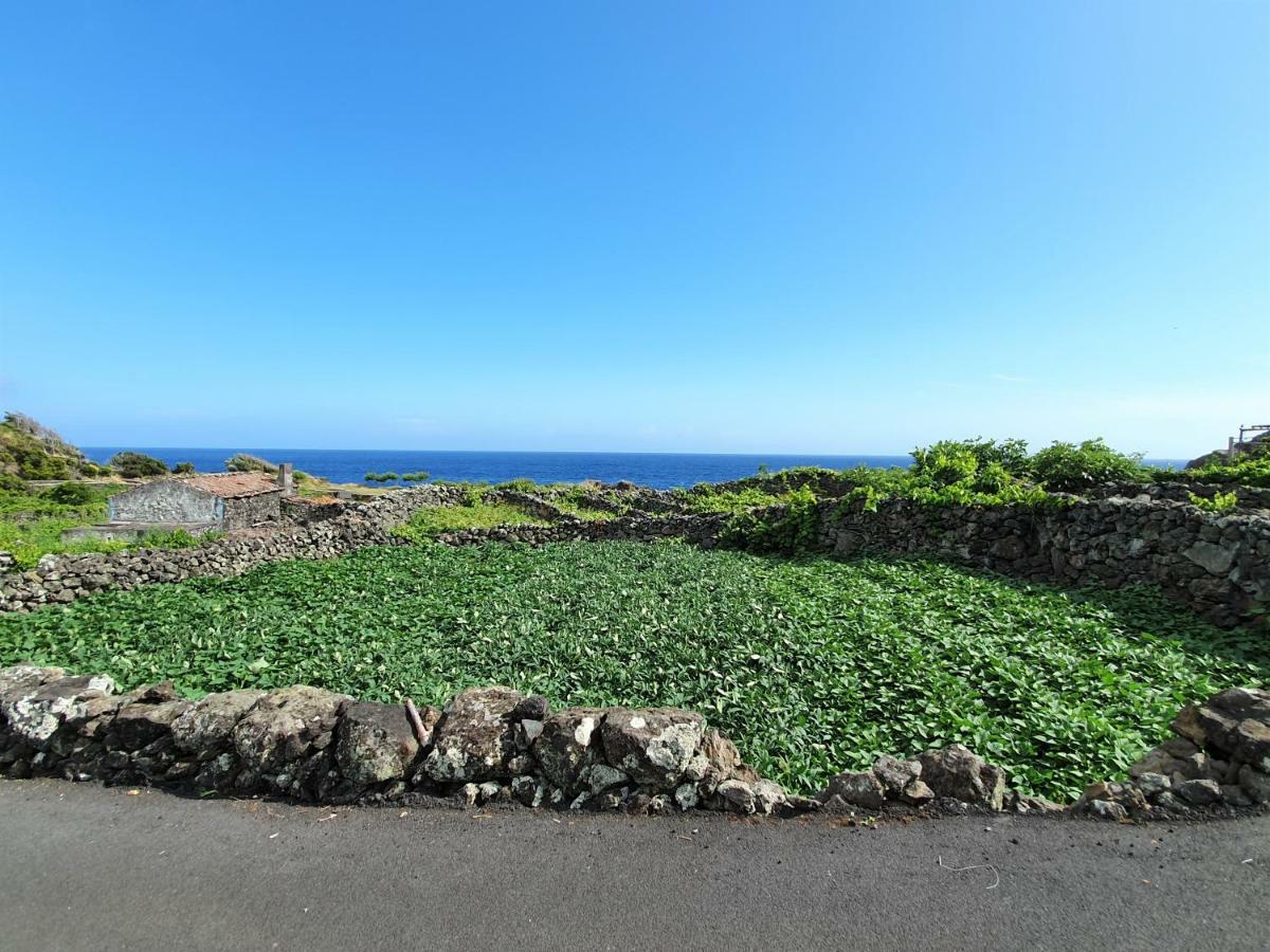 Casinha De Nesquim Villa Calheta de Nesquim Dış mekan fotoğraf